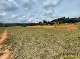  Land for sale in Guarne, Antioquia, Guarne