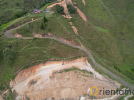  Terreno (Parcela) en venta en Bocas del Toro, Guabito, Changuinola, Bocas del Toro