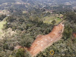 Terrain à vendre à Rionegro, Antioquia, Rionegro