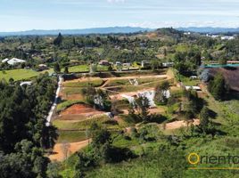  Terreno (Parcela) en venta en Guarne, Antioquia, Guarne