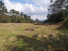  Terreno (Parcela) en venta en Rionegro, Antioquia, Rionegro