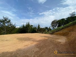  Terreno (Parcela) en venta en Rionegro, Antioquia, Rionegro