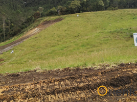  Land for sale in Envigado, Antioquia, Envigado