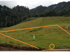  Land for sale in Envigado, Antioquia, Envigado