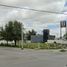  Grundstück zu vermieten in Juarez, Nuevo Leon, Juarez, Nuevo Leon