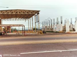 在Baja California Sur出租的 土地, La Paz, Baja California Sur