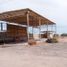 在Baja California Sur出租的 土地, La Paz, Baja California Sur