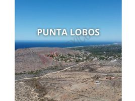  Grundstück zu verkaufen in La Paz, Baja California Sur, La Paz