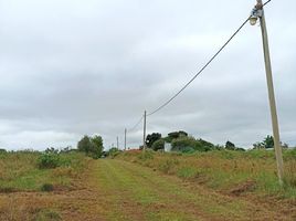  Terreno (Parcela) en venta en Garay, Santa Fe, Garay