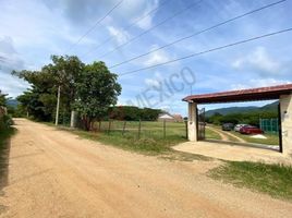  Terreno (Parcela) en venta en San Fernando, Chiapas, San Fernando
