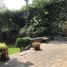 4 Bedroom House for rent in Miguel Hidalgo, Mexico City, Miguel Hidalgo