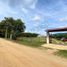  Land for sale in San Fernando, Chiapas, San Fernando