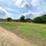  Land for sale in San Fernando, Chiapas, San Fernando