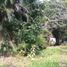 Land for sale in Cosoleacaque Veracruz, Cosoleacaque