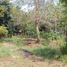  Land for sale in Cosoleacaque Veracruz, Cosoleacaque