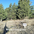  Land for sale in Rio Negro, Bariloche, Rio Negro