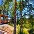 4 Bedroom House for sale in Valdivia Los Rios, Lanco, Valdivia, Los Rios