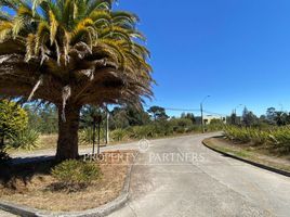  Terreno (Parcela) en venta en Concepción, Biobío, Concepcion, Concepción