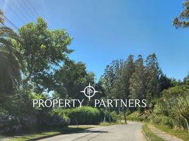  Land for sale in Concepcion, Concepción, Concepcion