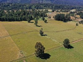  Terrain for sale in Los Lagos, Valdivia, Los Lagos