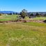  Terrain for sale in Villarrica, Cautin, Villarrica