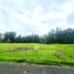  Land for sale in Osorno, Los Lagos, Puerto Octay, Osorno