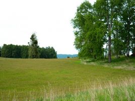  Terrain for sale in Los Rios, Paillaco, Valdivia, Los Rios