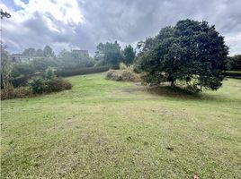  Land for sale in Argelia, Antioquia, Argelia