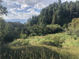  Grundstück zu verkaufen in Envigado, Antioquia, Envigado