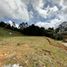 Terrain à vendre à Rionegro, Antioquia, Rionegro
