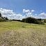  Terreno (Parcela) en venta en El Carmen De Viboral, Antioquia, El Carmen De Viboral