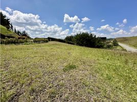  Terreno (Parcela) en venta en El Carmen De Viboral, Antioquia, El Carmen De Viboral