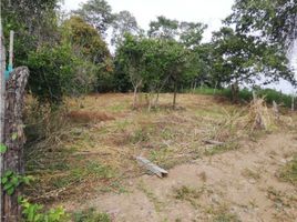  Land for sale in La Mesa, Cundinamarca, La Mesa