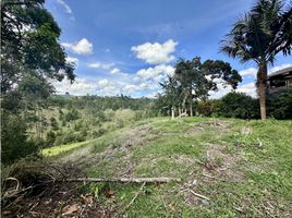  Terreno (Parcela) en venta en El Carmen De Viboral, Antioquia, El Carmen De Viboral