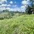  Terreno (Parcela) en venta en El Carmen De Viboral, Antioquia, El Carmen De Viboral