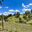  Terreno (Parcela) en venta en El Carmen De Viboral, Antioquia, El Carmen De Viboral