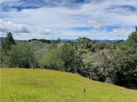  Terreno (Parcela) en venta en Retiro, Antioquia, Retiro