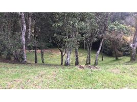  Terreno (Parcela) en venta en Rionegro, Antioquia, Rionegro