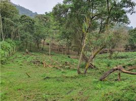  Terreno (Parcela) en venta en Retiro, Antioquia, Retiro