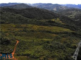  Terreno (Parcela) en venta en El Carmen De Viboral, Antioquia, El Carmen De Viboral