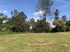  Terreno (Parcela) en venta en El Carmen De Viboral, Antioquia, El Carmen De Viboral