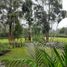 3 Schlafzimmer Appartement zu verkaufen in Rionegro, Antioquia, Rionegro