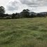  Grundstück zu verkaufen in Rionegro, Antioquia, Rionegro, Antioquia