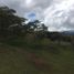  Terreno (Parcela) en venta en La Ceja, Antioquia, La Ceja, Antioquia