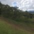  Terreno (Parcela) en venta en La Ceja, Antioquia, La Ceja, Antioquia