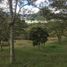  Terreno (Parcela) en venta en La Ceja, Antioquia, La Ceja, Antioquia