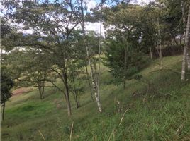  Terreno (Parcela) en venta en La Ceja, Antioquia, La Ceja, Antioquia