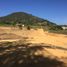 Terrain à vendre à La Ceja, Antioquia, La Ceja, Antioquia