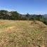 Terrain à vendre à La Ceja, Antioquia, La Ceja, Antioquia