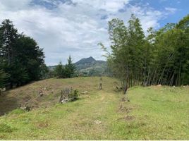  Terreno (Parcela) en venta en El Carmen De Viboral, Antioquia, El Carmen De Viboral